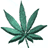 cannabis Seeds of Misty marijuana